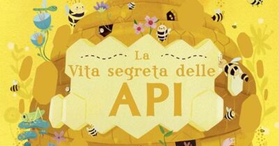 Copertina di Giornata Mondiale delle Api, un viaggio “segreto” per spiegare ai bambini l’importanza di questi insetti