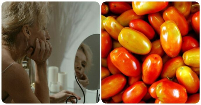 Uomini e pomodori invecchiano in modo uguale. Ecco perché aiutare a sprecare di meno, lo studio