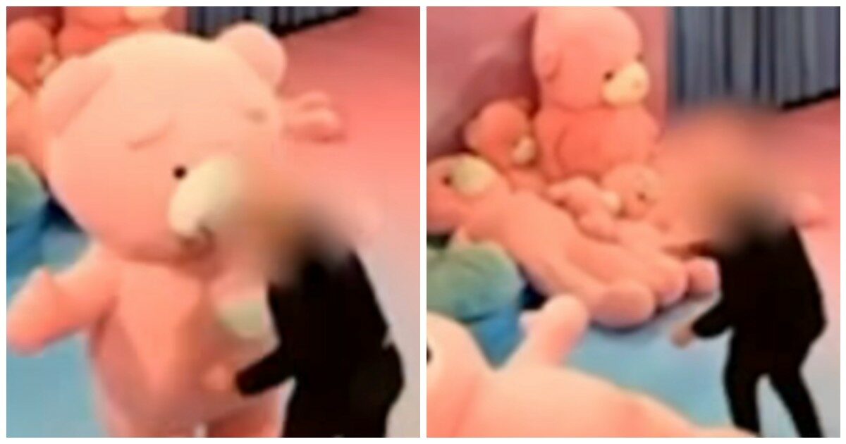 Una donna vestita da orso per una mostra viene presa a pugni da un visitatore: “È stato come un terremoto. Io sono caduta giù e ho iniziato ad urlare”