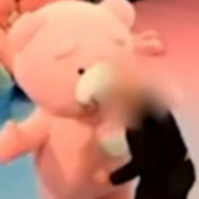 Una donna vestita da orso per una mostra viene presa a pugni da un visitatore: “È stato come un terremoto. Io sono caduta giù e ho iniziato ad urlare”