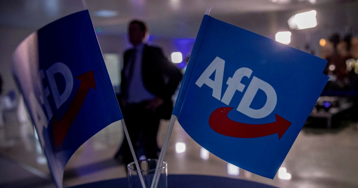 germania l8217estrema destra di afd triplica i voti alle elezioni locali e porta 3 candidati sindaci al ballottaggio