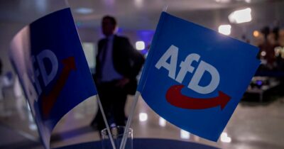 Copertina di Afd,  congelata  la classificazione dopo il ricorso