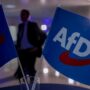 Copertina di Afd,  congelata  la classificazione dopo il ricorso
