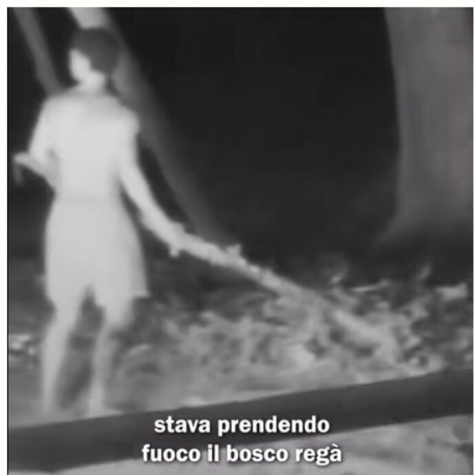 Isola dei Famosi 2025, “Il bosco stava per incendiarsi”: Leonardo Brum accende il fuoco con l’accendino (poi sequestrato) e scatena il caos