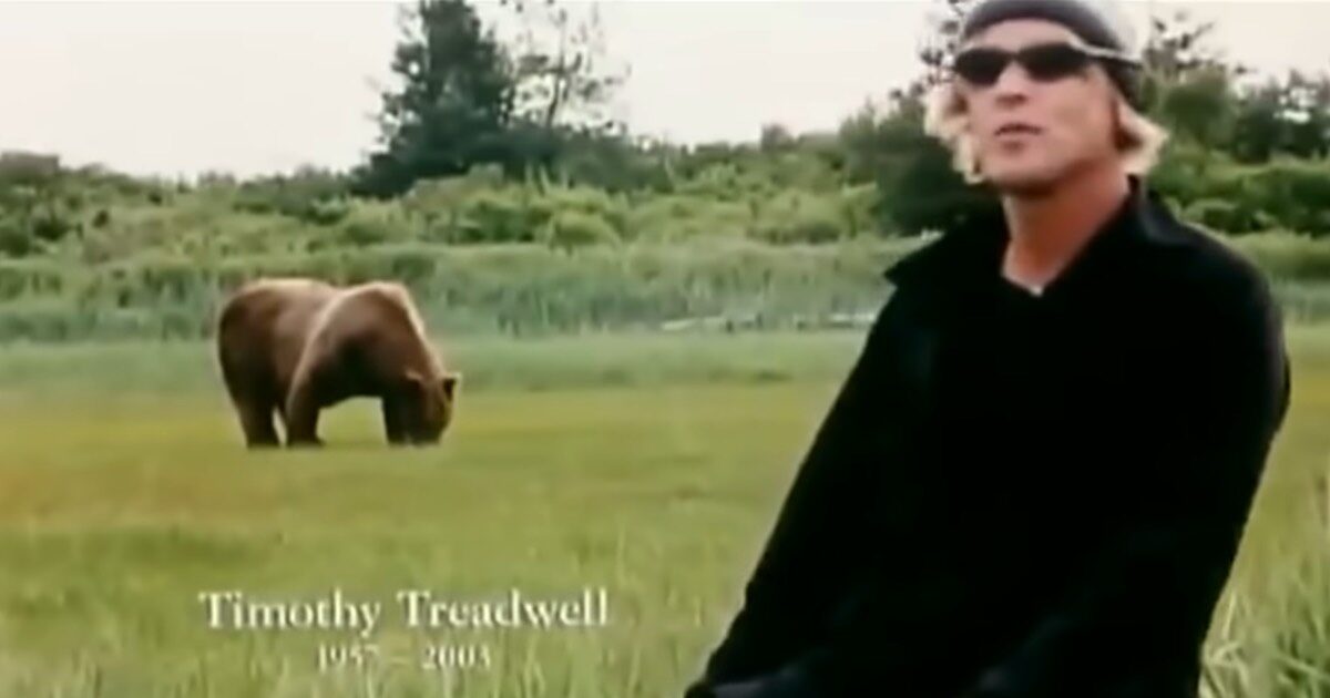 “Volevano l’audio del momento in cui Timothy e la sua compagna vengono sbranati dall’orso bruno, ma non gliel’ho fatto sentire”: il racconto scioccante sul doc Grizzly Man