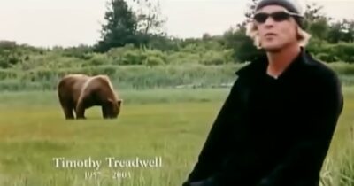 Copertina di “Volevano l’audio del momento in cui Timothy e la sua compagna vengono sbranati dall’orso bruno, ma non gliel’ho fatto sentire”: il racconto scioccante sul doc Grizzly Man