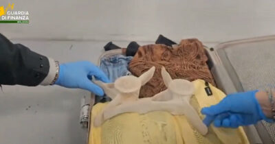 Copertina di Nasconde in valigia due vertebre di delfino: multato un passeggero di ritorno da Capo Verde – Video