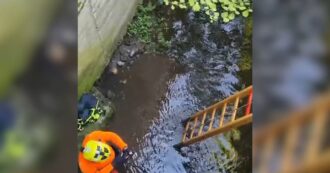 Copertina di Delitto di Garlasco, i carabinieri cercano l’arma del delitto in un canale a Tormello – Video