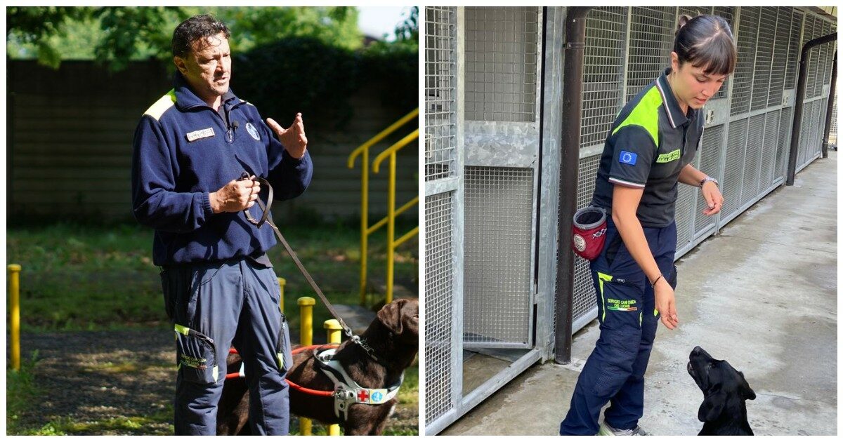 Dalle passeggiate fino a fare la spesa e andare in spiaggia: ecco come si addestrano i cuccioli che diventeranno cani guida per non vedenti