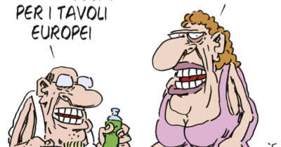 Copertina di La vignetta di Franzaroli