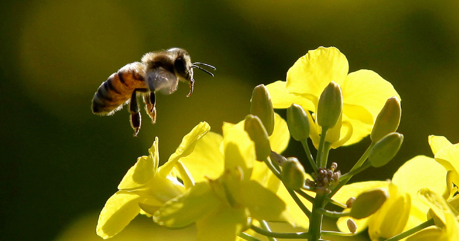 Passionsvip onlyfans leaks A lot of videos too.