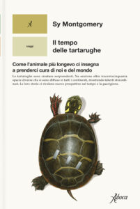 sopravvivere da 250 milioni di anni e rischiare l estinzione per il cambiamento climatico storia delle tartarughe