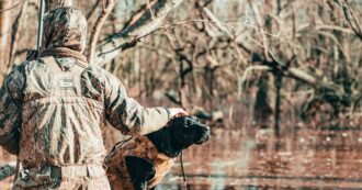 Caccia, l’appello delle associazioni ambientaliste e animaliste contro il ddl del governo: “Un punto di non ritorno”