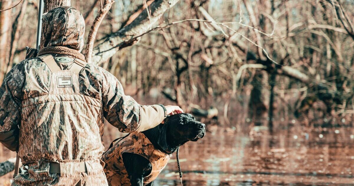 caccia l8217appello delle associazioni ambientaliste e animaliste contro il ddl del governo un punto di non ritorno