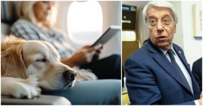 Copertina di Giovanardi: “Dobermann, pitbull, rottweiler in aereo? Decisione assurda, in 10 anni 100 morti sbranati”. La replica: “Si è perso qualcosa… come la sua auto”