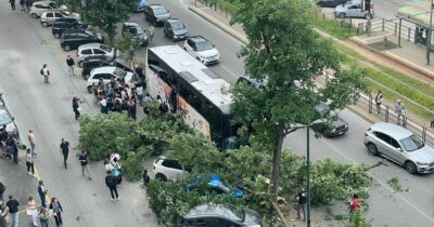 Copertina di Bus con a bordo scolaresca finisce contro un albero a Torino: l’autista ha perso il controllo, alcuni feriti lievi
