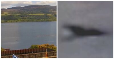 Copertina di “Il mostro di Lochness ha un cucciolo, ho le prove: ecco baby Nessie”. Le rivelazioni del celebre “cacciatore” Eoin O’Faodhagain