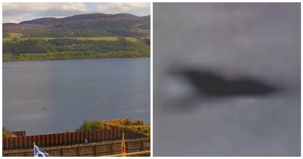 “Il mostro di Lochness ha un cucciolo, ho le prove: ecco baby Nessie”. Le rivelazioni del celebre “cacciatore” Eoin O’Faodhagain