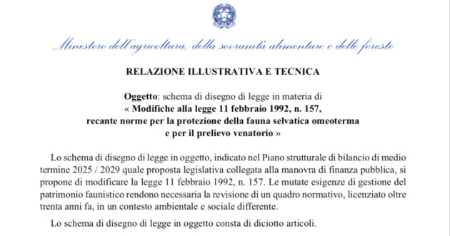 Legge spara tutto sulla caccia, per Lollobrigida sono solo bugie: ecco le bozze (della sua riforma) che lo smentiscono Legge spara tutto sulla caccia, per Lollobrigida sono solo bugie: ecco le bozze (della sua riforma) che lo smentiscono