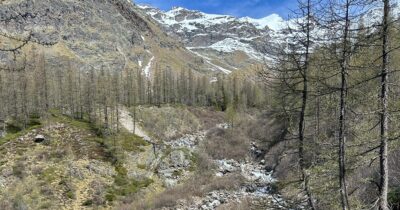 Copertina di Riparte l’iter per la centrale idroelettrica di Cortlys: oggi il paradosso è ancora più evidente