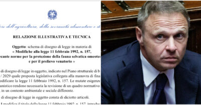 Copertina di Legge spara-tutto sulla caccia, per Lollobrigida sono solo bugie: ecco le bozze (della sua riforma) che lo smentiscono