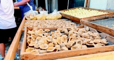Copertina di Guerra delle orecchiette a Bari Vecchia:  le pastaie contro il Comune (che le multa)