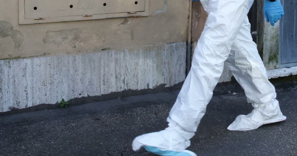 parma un passante trova un feto sul marciapiede indagini in corso