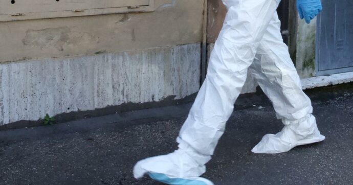 Parma, un passante trova un feto sul marciapiede: “Quasi sicuramente si tratta di resti animali”