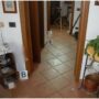 Copertina di Garlasco, il “film” dei movimenti del killer nelle sentenze su Stasi: lanciò il corpo di Chiara dalle scale e non scese nella taverna