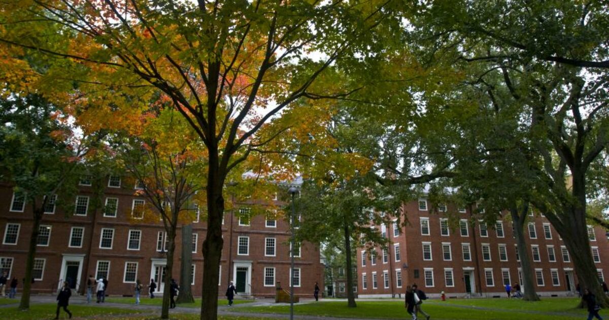 l amministrazione trump vieta a harvard di ammettere studenti stranieri chi è già iscritto rischia di perdere il visto