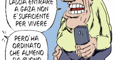 Copertina di La vignetta di Franzaroli