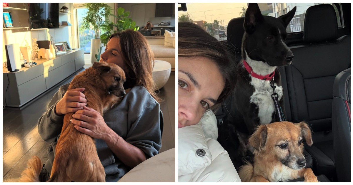 “Il mio cuore è a pezzi. Skyler ti ha portato lo stesso al guinzaglio anche se non c’eri”: il dolore di Elisabetta Canalis per la morte del cane Charlie