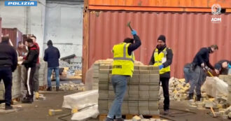 Copertina di Eroina nascosta in 60mila mattoni di cemento: maxi-sequestro nel porto di Genova. Il video della scoperta