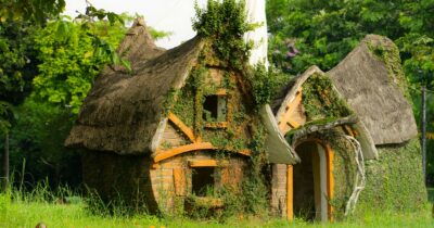 Copertina di Un design a prova di natura, l’antropologo: “Cominciamo a imparare dall’architettura animale”