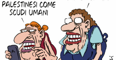 Copertina di La vignetta di Franzaroli