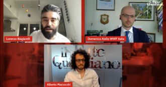 Copertina di Caccia, Lorenzo Biagiarelli: “La riforma? Alimenta il nostro rapporto perverso con gli animali. Così il governo raccoglie voti”