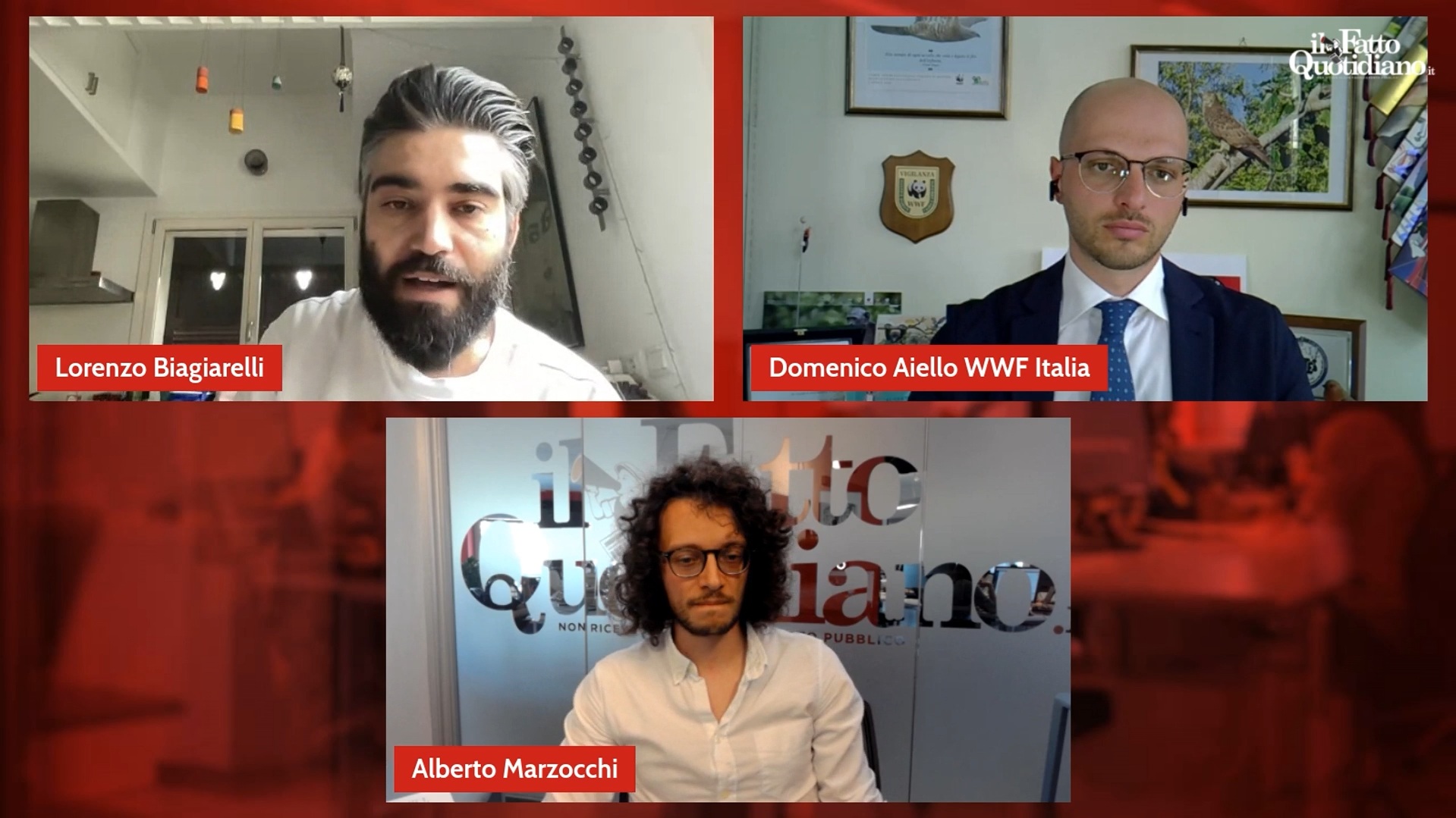 caccia lorenzo biagiarelli la riforma alimenta il nostro rapporto perverso con gli animali cos236 il governo raccoglie voti
