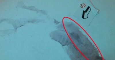 Copertina di Delitto Garlasco, l’intonaco della famosa “traccia 33” è stato distrutto? Forse no: le ricerche negli archivi del Ris