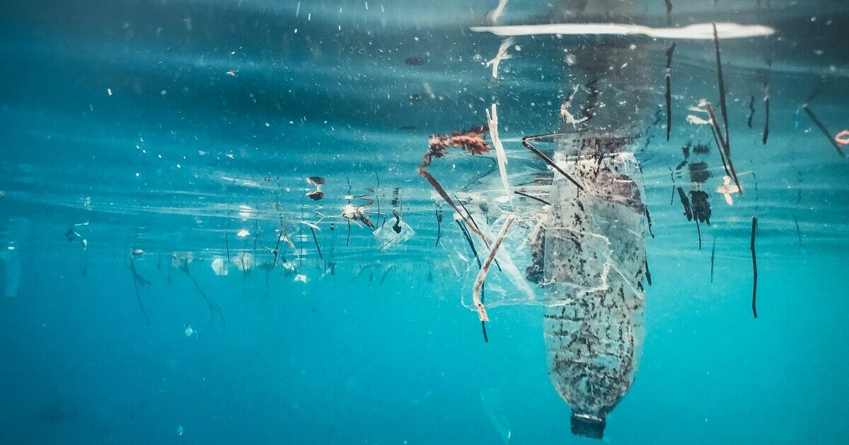 pescare i rifiuti o trasformare gli scarti del pesce in biostimolanti il futuro delle start up green in liguria è già presente