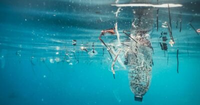 Copertina di Pescare i rifiuti o trasformare gli scarti del pesce in biostimolanti: il futuro delle start up green in Liguria è già presente