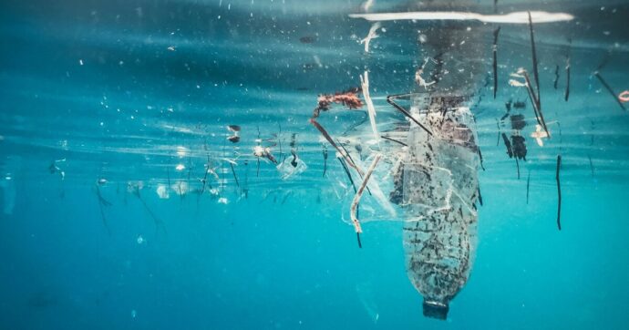 Pescare i rifiuti o trasformare gli scarti del pesce in biostimolanti: il futuro delle start up green in Liguria è già presente