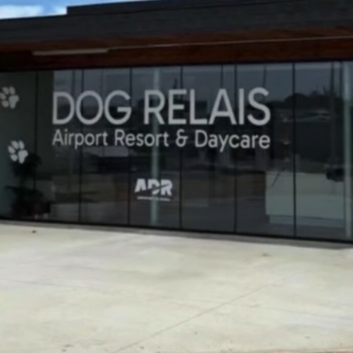 “Spa, aromaterapia e filodiffusione”: arriva a Fiumicino il primo hotel di lusso per cani. Ecco quanto costa