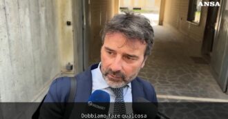 Copertina di Martina Carbonaro, il legale della famiglia della ragazza uccisa: “Lo Stato intervenga, bisogna fare qualcosa prima del Codice rosso”