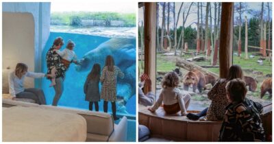 Copertina di 90 euro per dormire nello zoo accanto agli animali, la trovata acchiappa-turisti fa discutere: “Spettacolarizzazione della Natura”