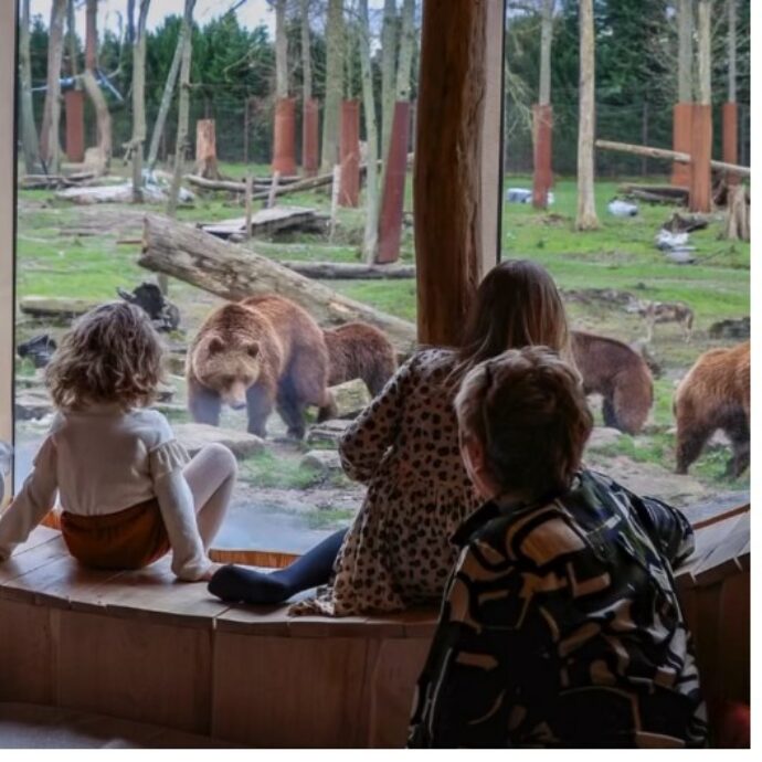 90 euro per dormire nello zoo accanto agli animali, la trovata acchiappa-turisti fa discutere: “Spettacolarizzazione della Natura”