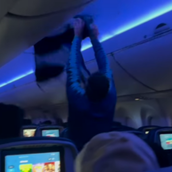 Ci sono due piccioni nella cabina dell’aereo, panico a bordo: “Anche il pilota non aveva mai affrontato una situazione simile”