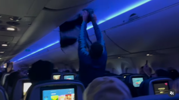 ci sono due piccioni nella cabina dell aereo panico a bordo anche il pilota non aveva mai affrontato una situazione simile da Ilfattoquotidiano.it ci sono due piccioni nella cabina dell aereo panico a bordo anche il pilota non aveva mai affrontato una situazione simile