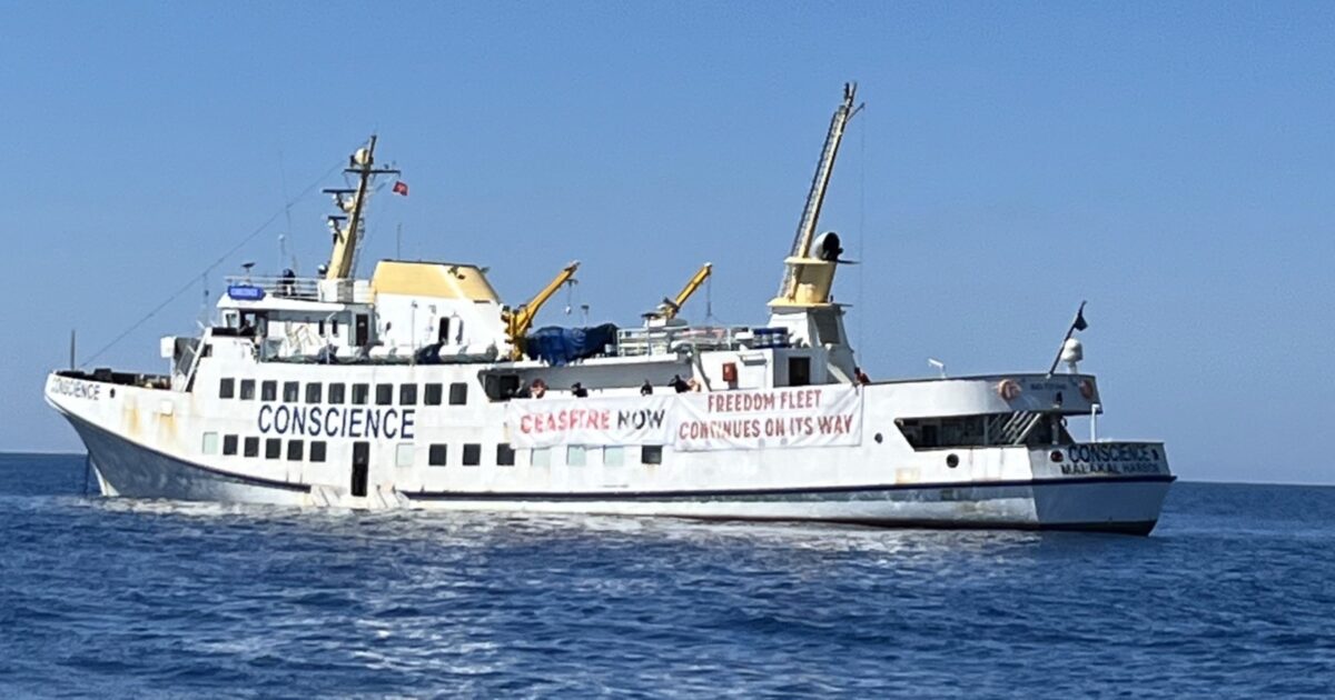 Gaza, la Freedom Flotilla pronta a salpare dall’Italia per rompere l’assedio: “Ognuno di noi ha l’obbligo morale di fare qualcosa”