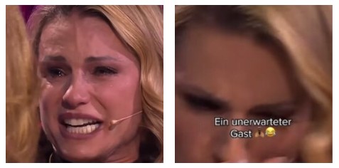 “Ma mia madre che si mangia una mosca durante una trasmissione tedesca?!”: così Aurora Ramazzotti su Michelle Hunziker “Ma mia madre che si mangia una mosca durante una trasmissione tedesca?!”: così Aurora Ramazzotti su Michelle Hunziker