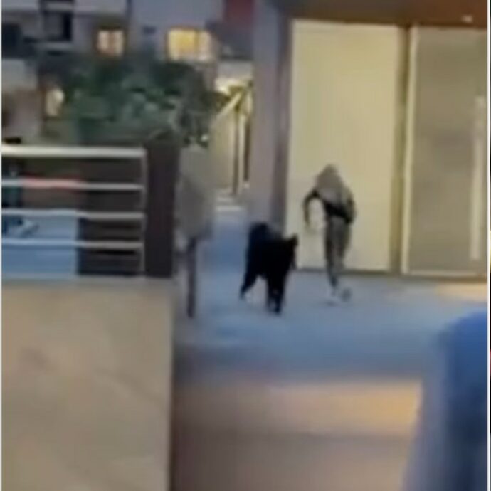 Fabrizio Corona rincorre Stefania Cappa per le strade di Milano: “Ho intervistato tutti i protagonisti del caso Garlasco”